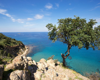 Национальный парк Акамас Кипр