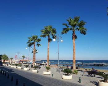 Пляж Финикудес Кипр